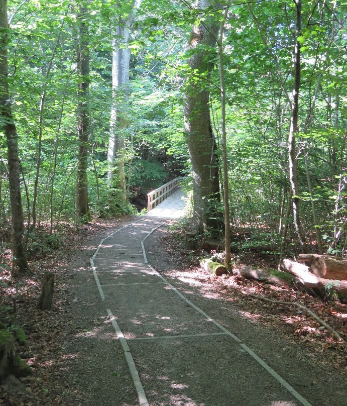 Dalby Söderskog National Park-Dalby必去景点