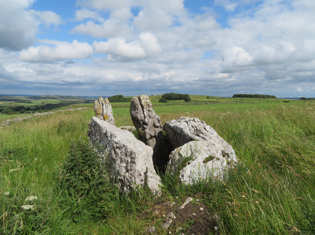 Limestone Way / Bradford River Walk景点图片