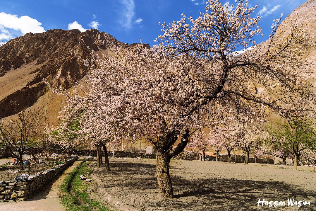 Gojal Valley-罕萨必去景点