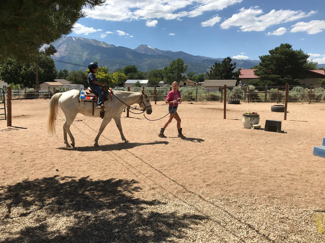 Heavenly Hoofprints-New Washoe City必去景点