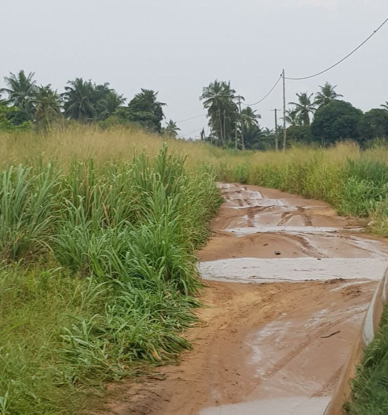 Lac Togo-Togoville必去景点
