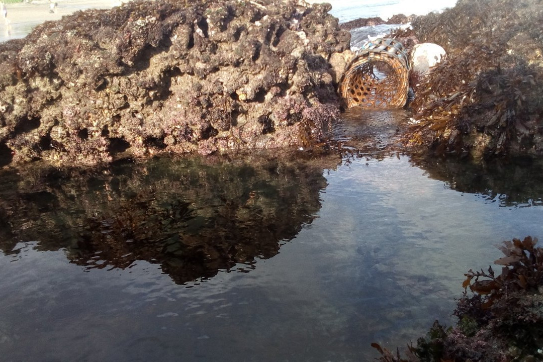 Batu Bolong Beach景点图片