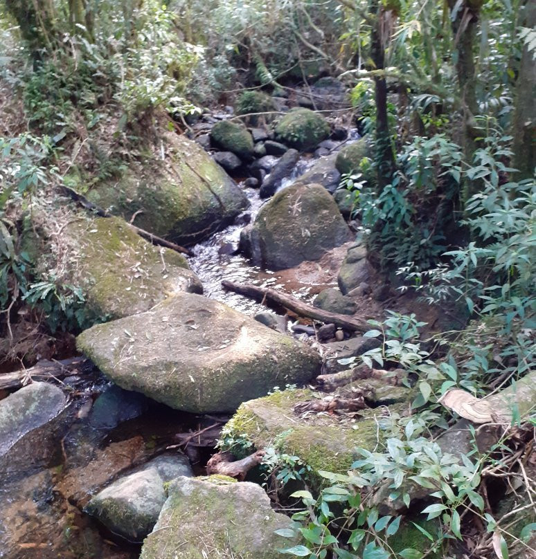 Travessia de São Francisco Xavier-蒙特贝尔德必去景点