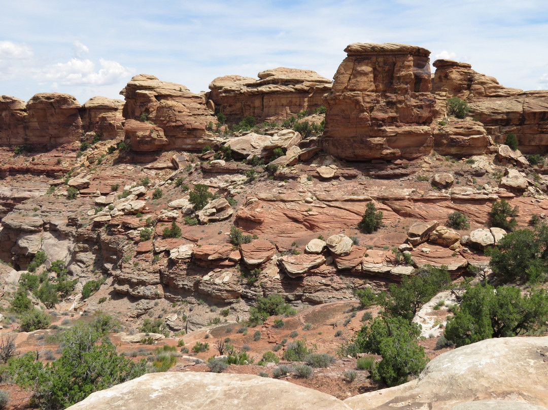 Big Spring Canyon Overlook-峡谷地国家公园必去景点