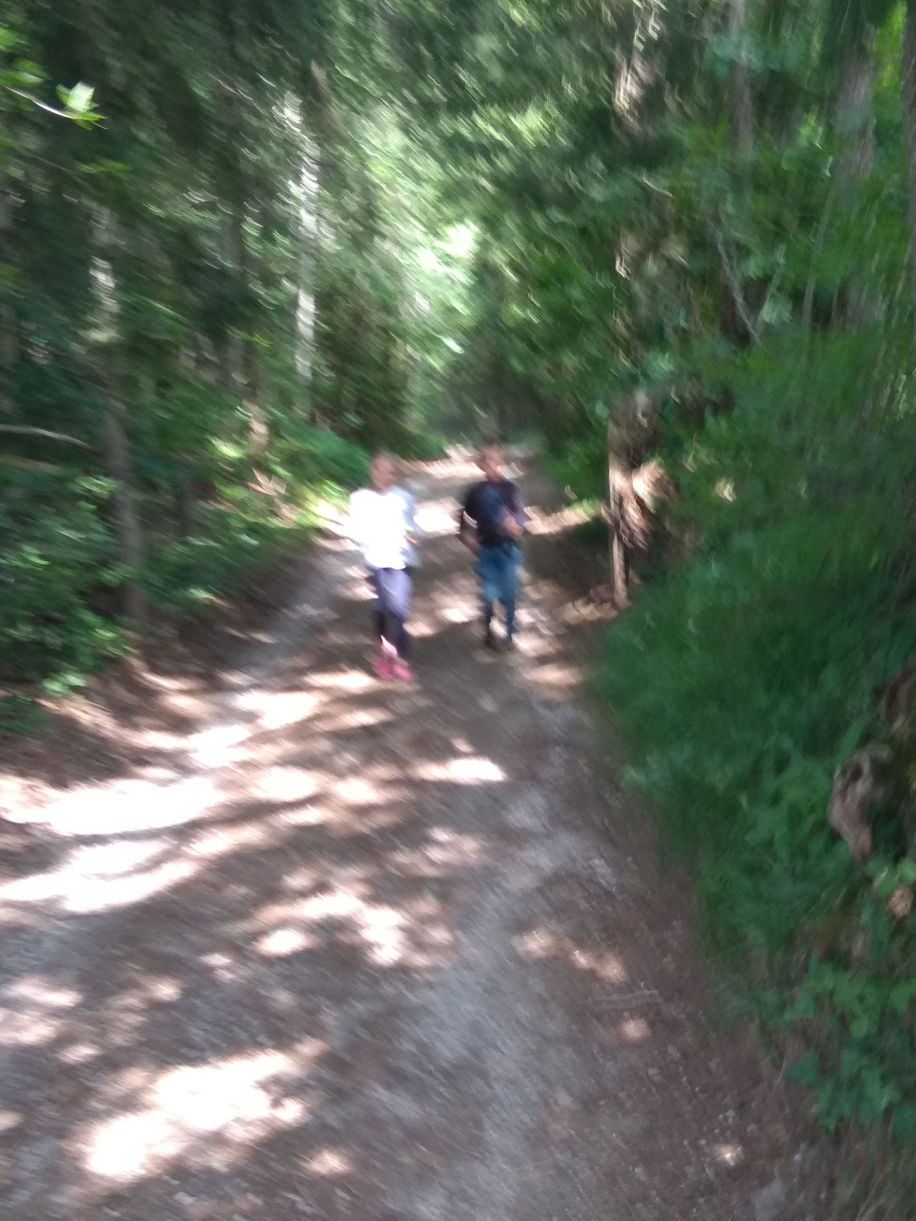 Gasthof Edelweiss-官方