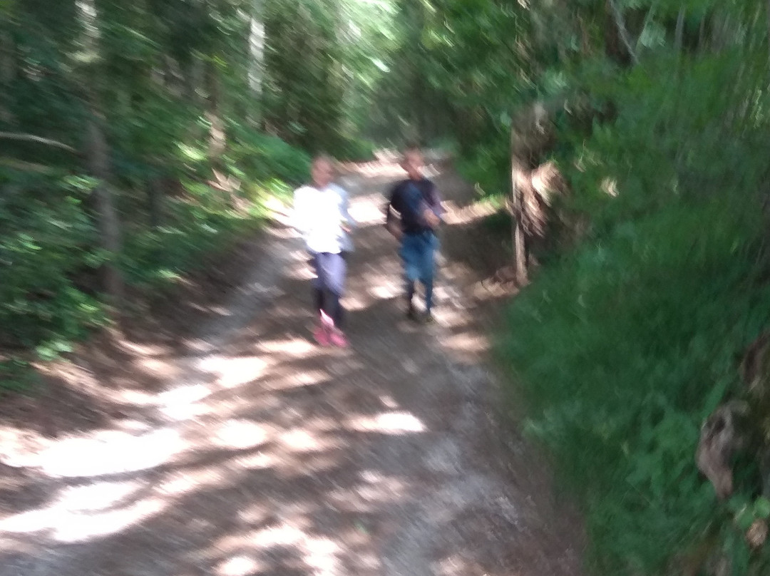 Gasthof Edelweiss主图