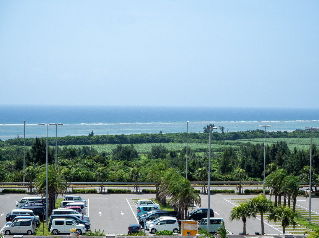 Painushima Ishigaki Airport Observation Deck景点图片