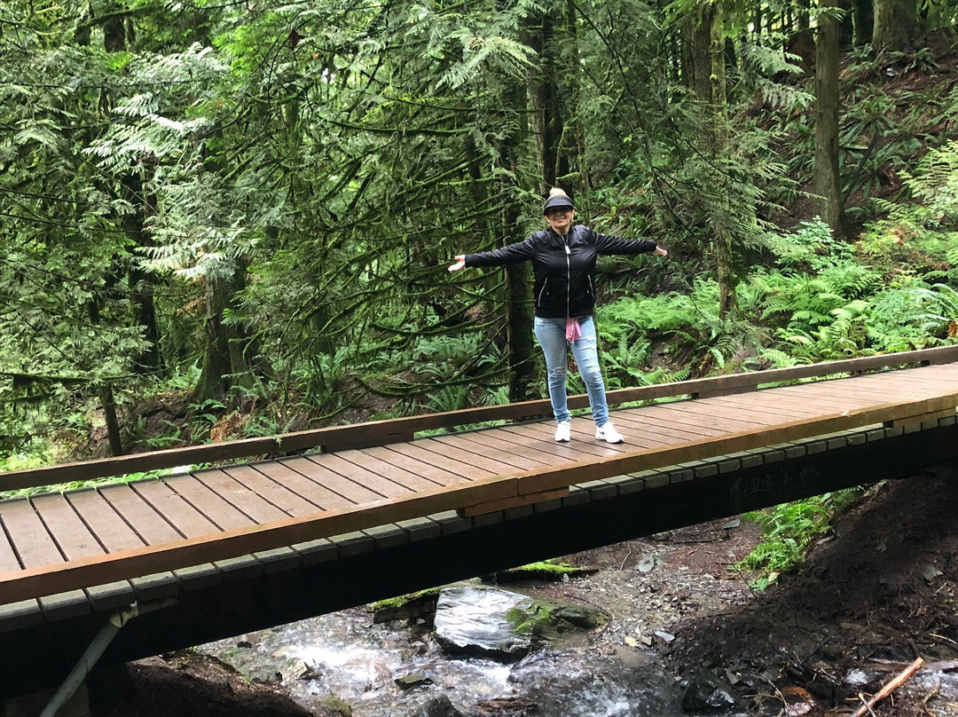 Bridal Veil Falls Provincial Park景点图片
