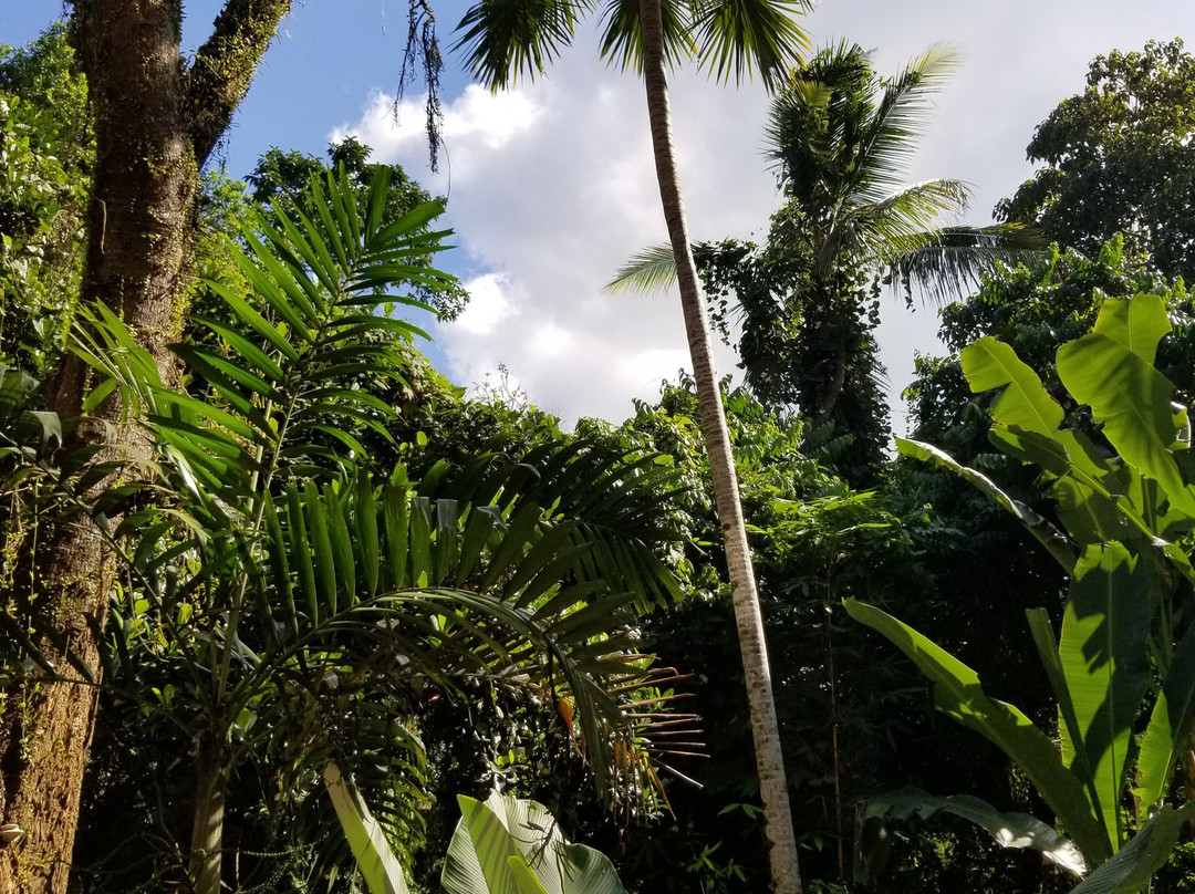 库普库普巴龙洛奇塔内特里Spa别墅度假村主图