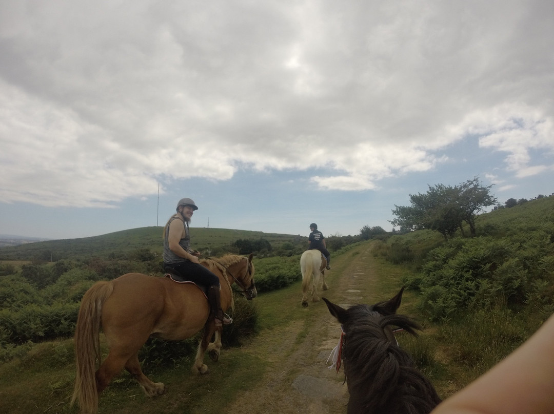 Caradon Hill Trekking and Equestrian Centre-Pensilva必去景点