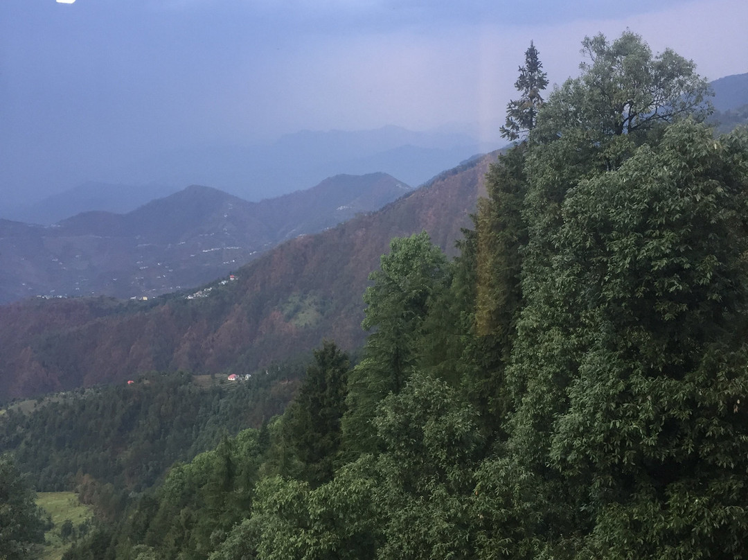 JK Clarks Exotica Dalhousie主图