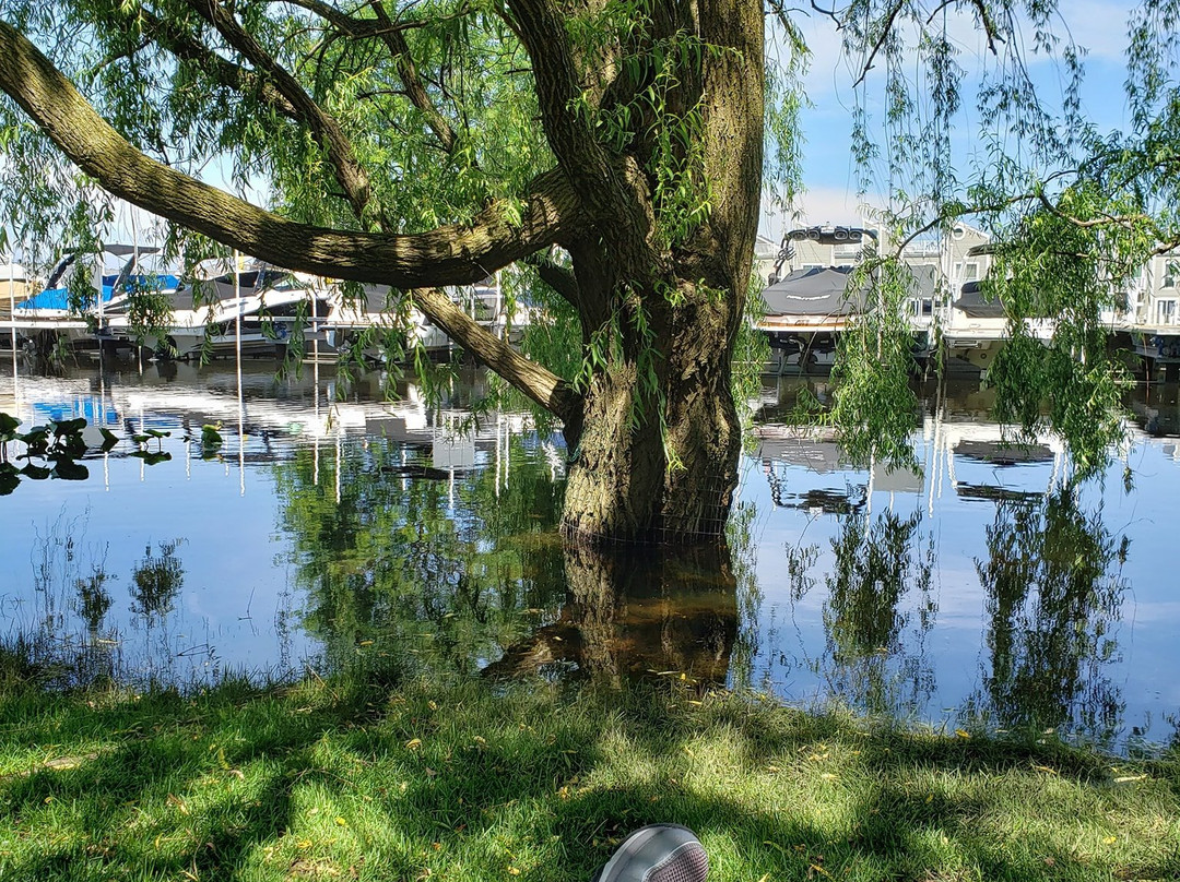 The Harbor Grand Hotel主图