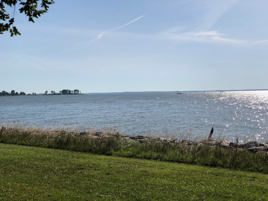 Black Walnut Point Inn主图