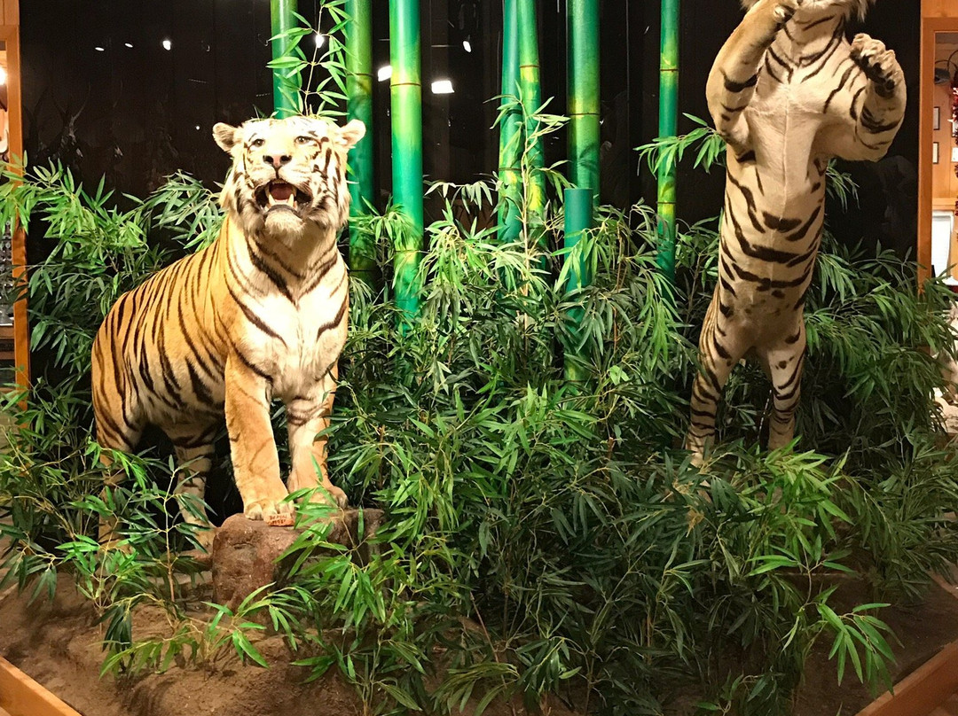 B-Square Ranch-法明顿必去景点