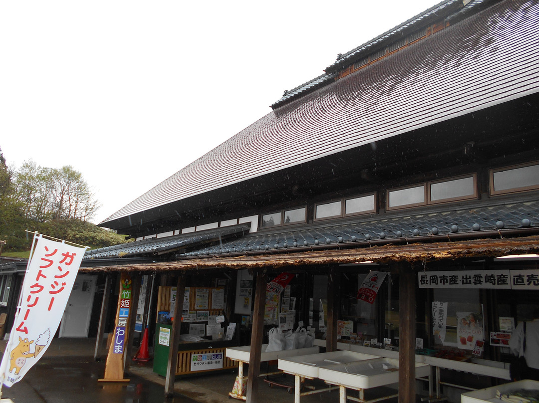 Ryokan no Sato Washima Michi-no-Eki-长冈市必去景点
