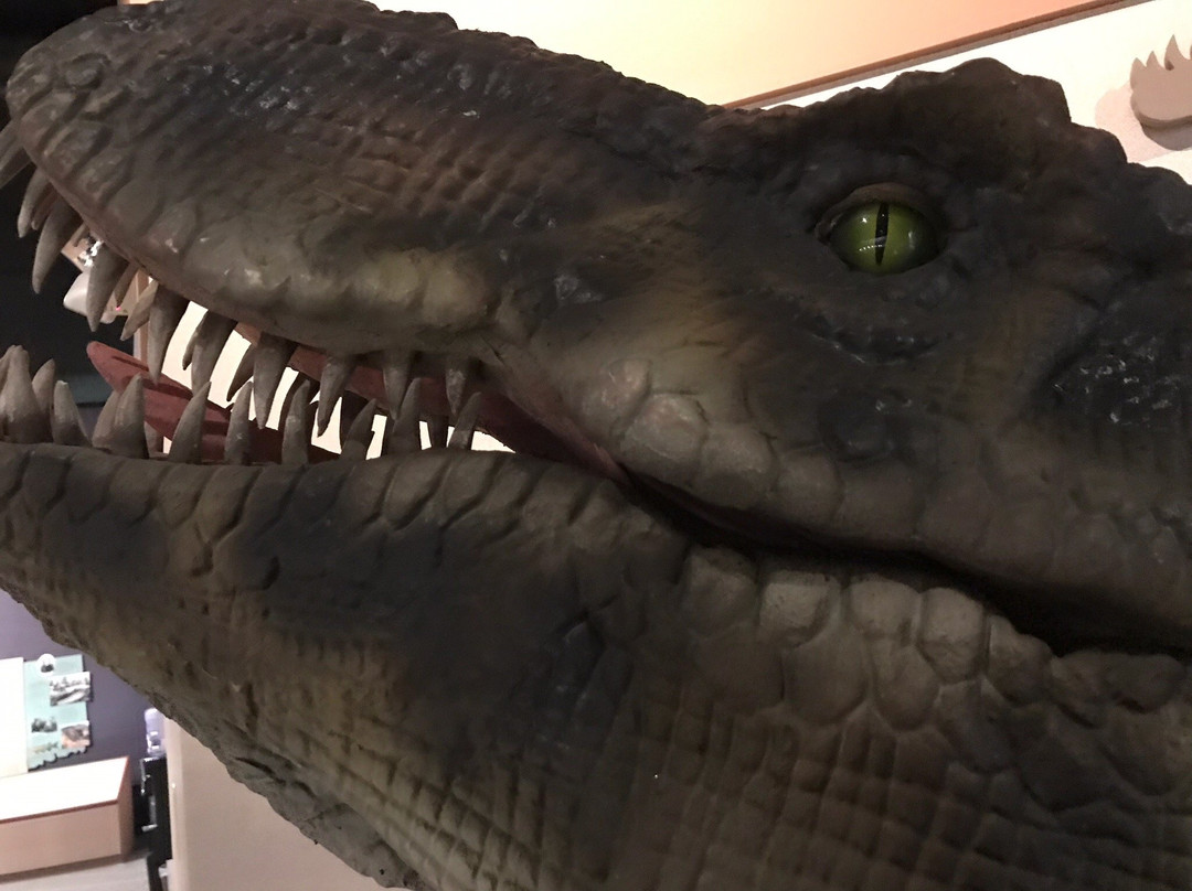 Dinosaur State Park & Arboretum-罗基希尔必去景点