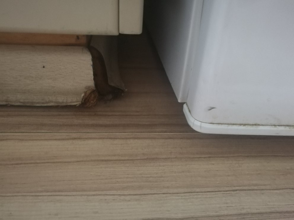 Almond Business Hotel主图