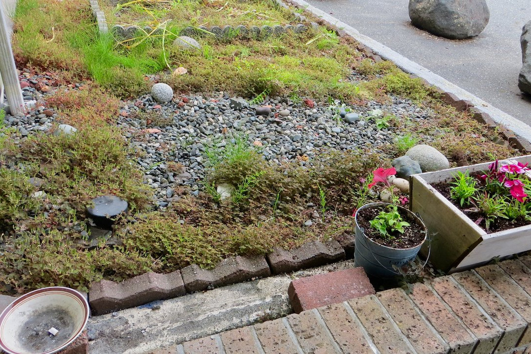 Airport Inn-port Hardy主图