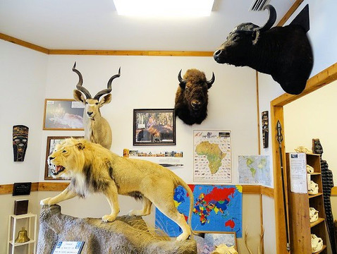 The Spear Hunting Museum-Summerdale必去景点