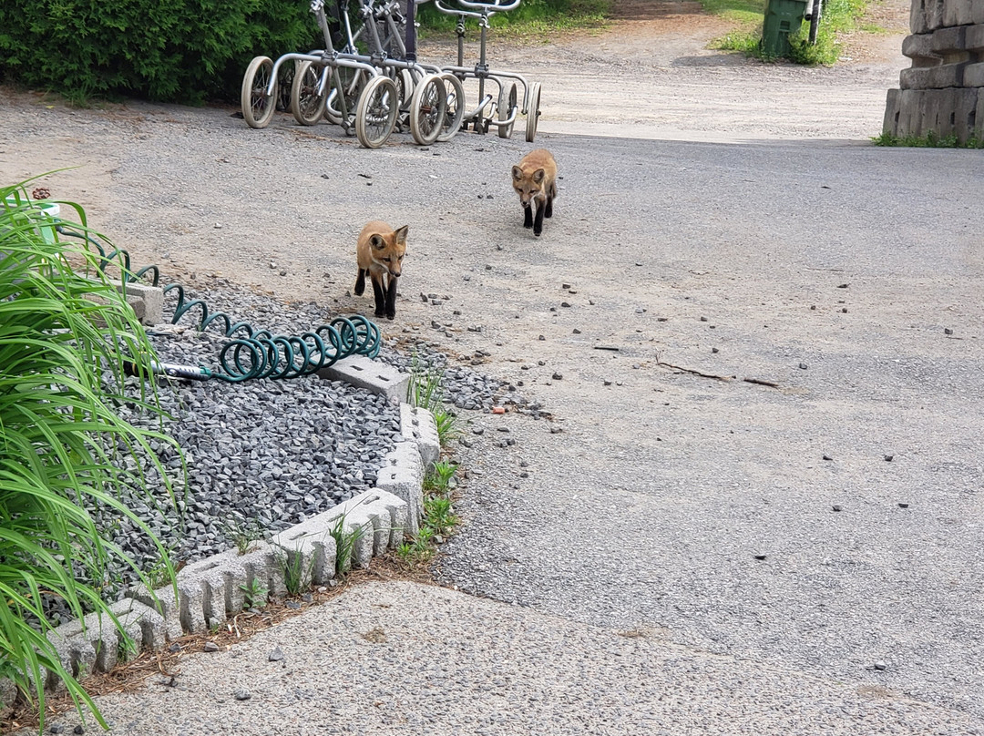 Club de Golf Capri-Saint-Colomban必去景点