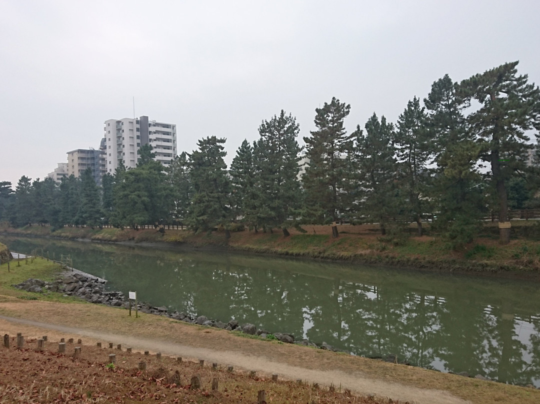 Matsubara Ayase River Park景点图片