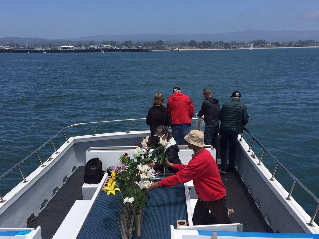 Sea Spirit Ocean Safari (formerly)