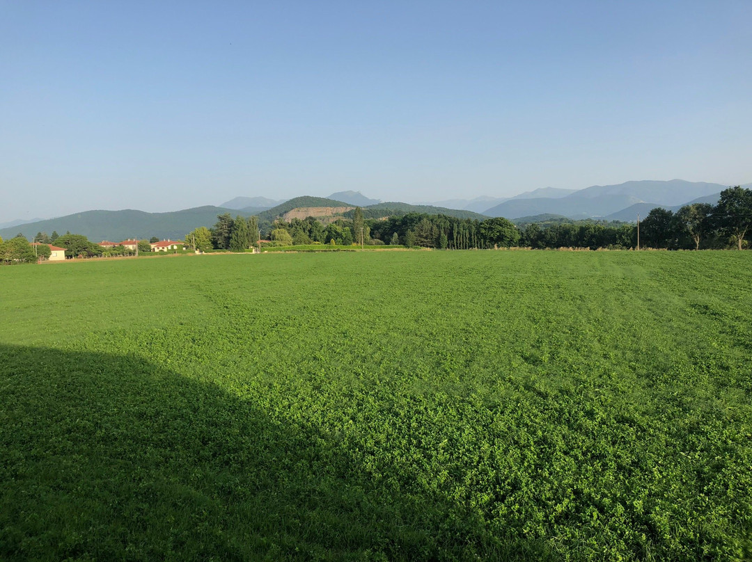 La Magie des Reves主图