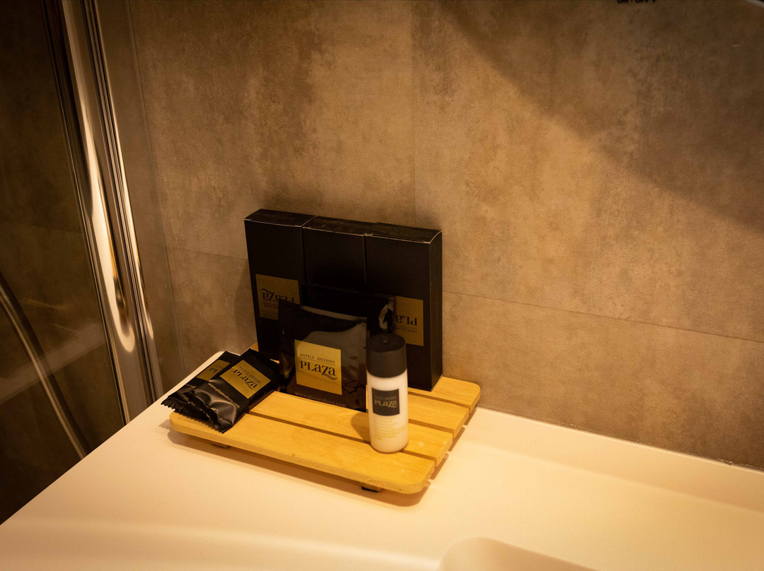 安道尔广场酒店主图