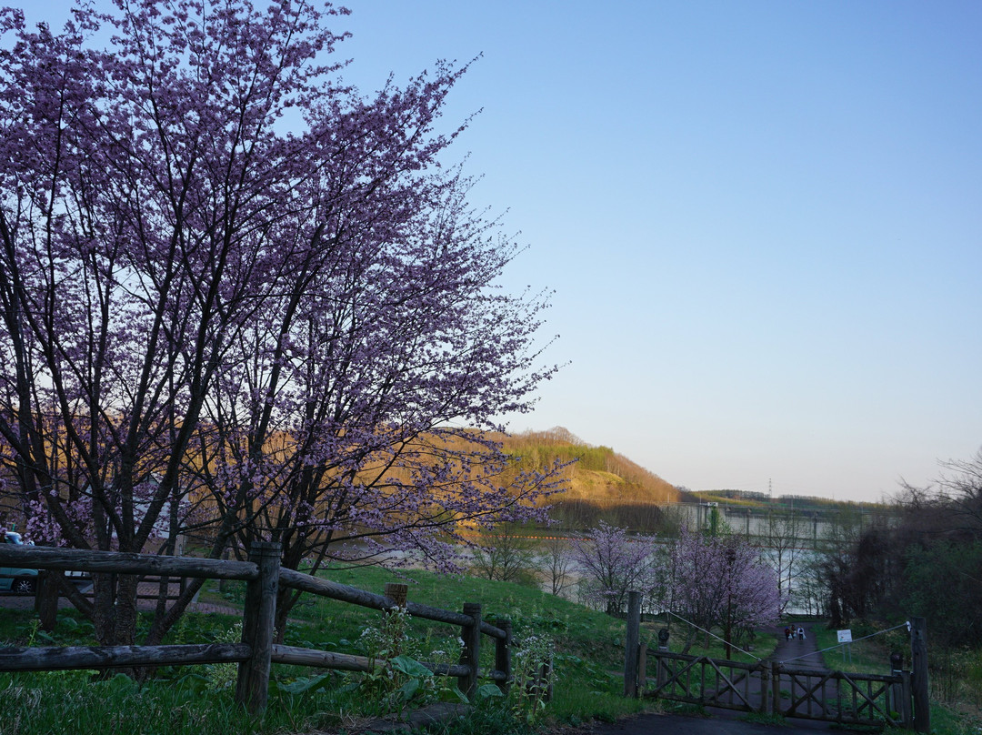 Lake Sahoro-新得町必去景点