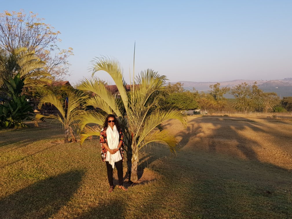 白河命运旅馆主图