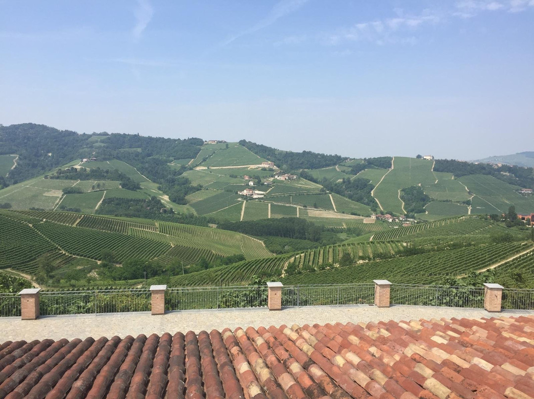 Cantina Luigi Pira景点图片