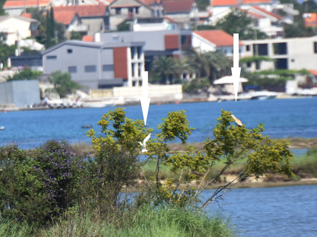 Tivat Solila-Tivat Municipality必去景点