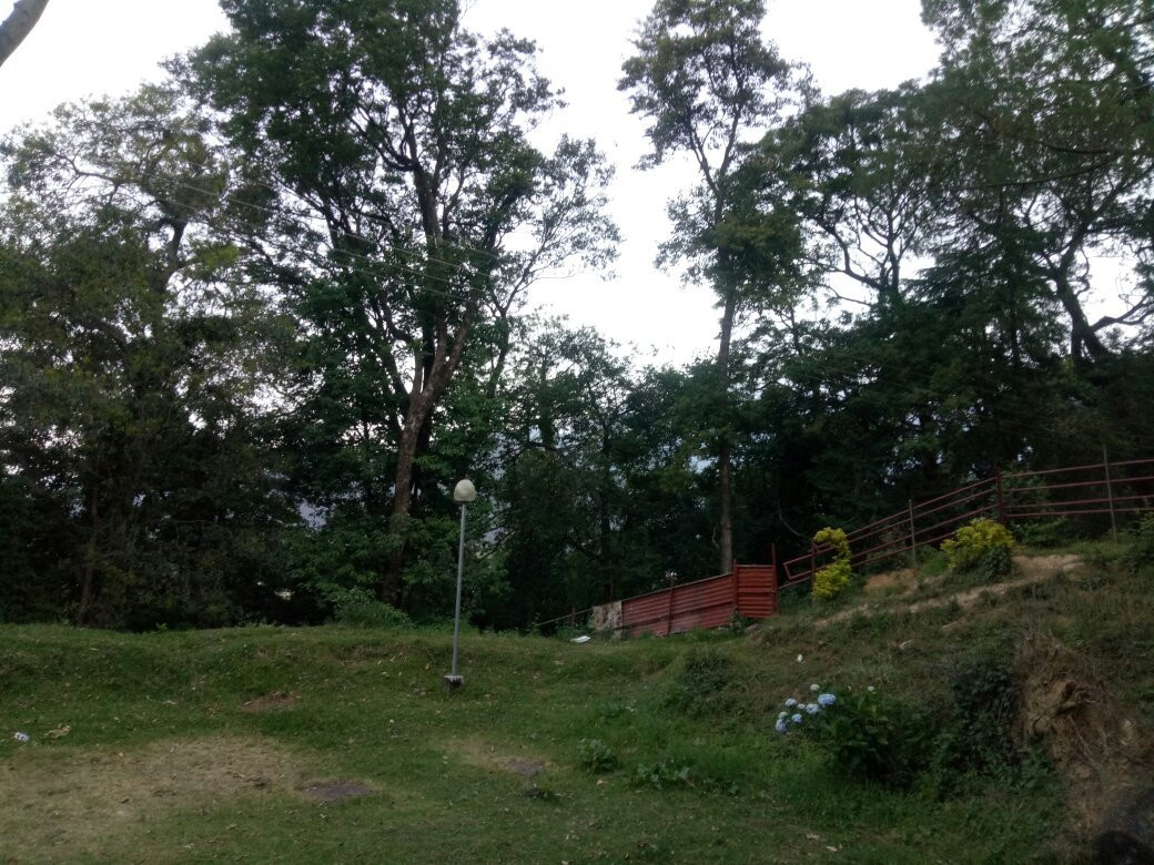 Lohna酒店住宿-The Tea Bud