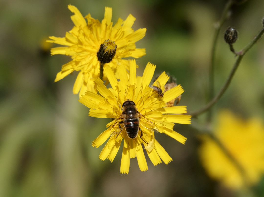 贝萨洛乡村酒店主图