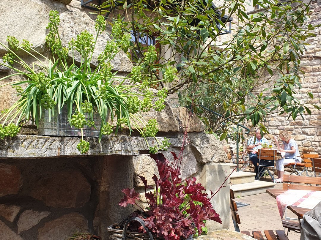 Weingut Espenhof主图