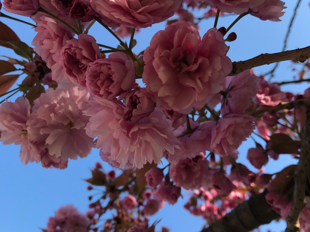 Schloss Plaue GmbH主图