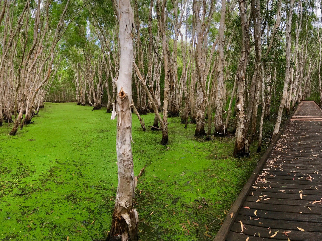 Keswick Island旅游攻略图片