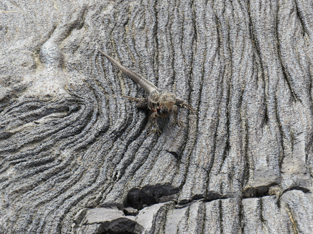 Sullivan Bay-Santiago必去景点