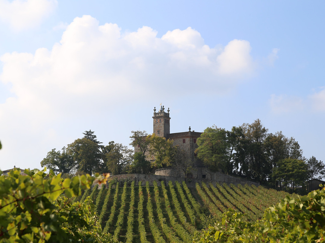 Castello di Montalbo景点图片