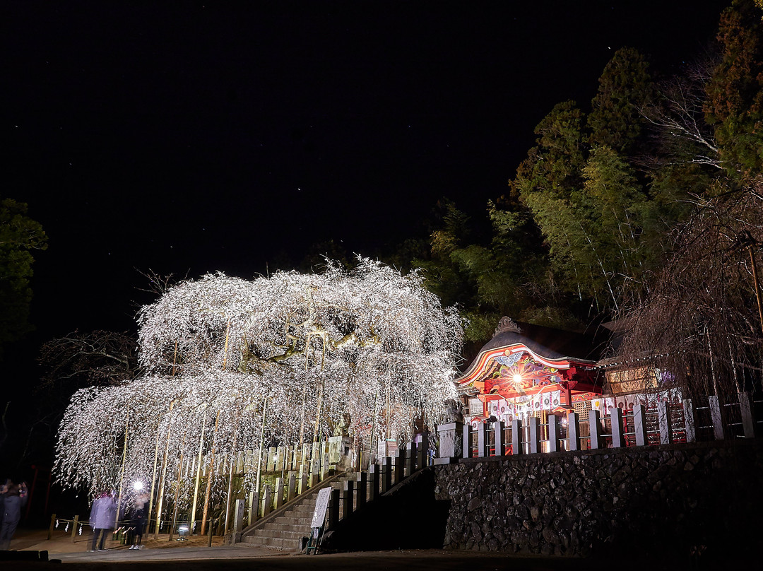 Ogawa Suwa Shrine-盘城市必去景点