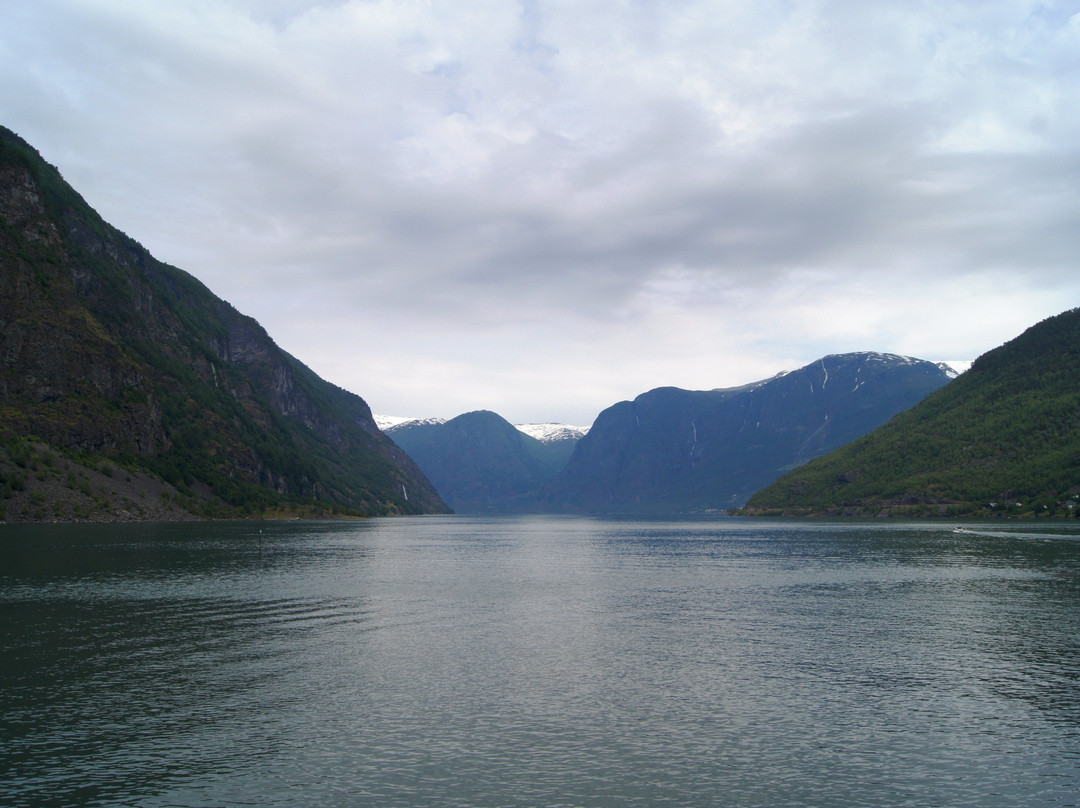 Norwegian Fjord Voyage AS-Gudvangen必去景点
