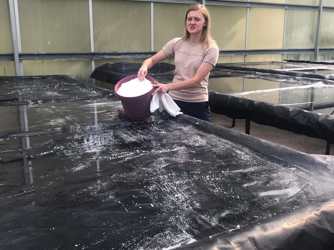 J.Q. Dickinson Salt-Works-Malden必去景点