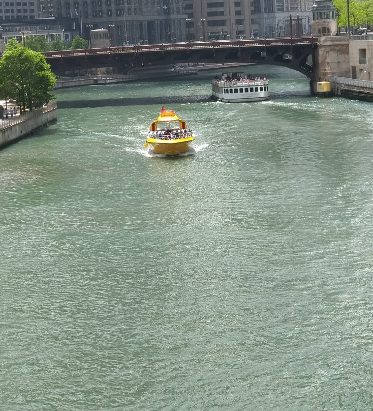 水上计程车景点图片