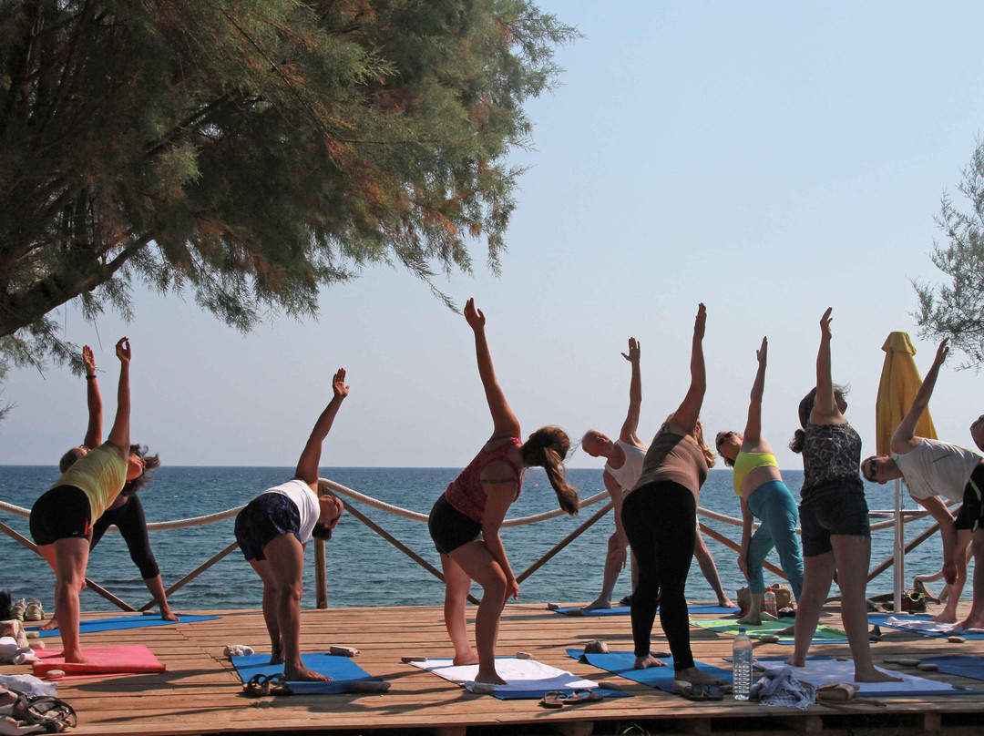 Samos Windsurfing Centre-Kokkari必去景点