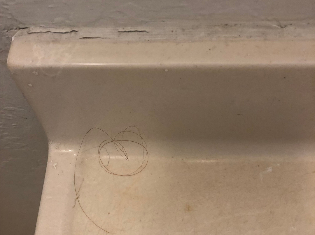 Lake Shasta Lodge主图