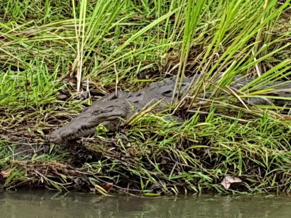 Safaris Corobici-Costa Rica River Trips景点图片