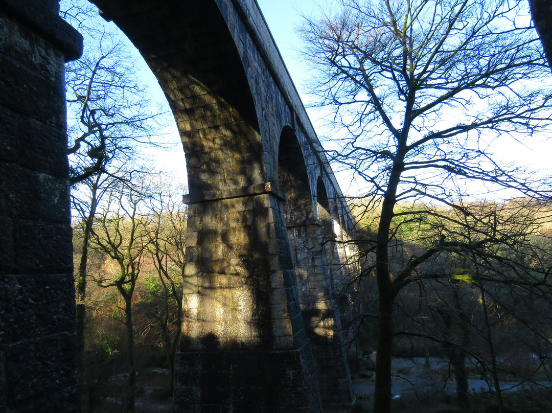 Luxulyan Valley to Prideaux Circular Walk-St Blazey必去景点