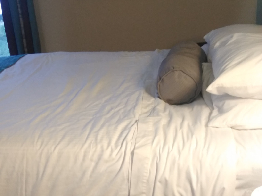 Howard Johnson by Wyndham Spartanburg - Expo Center主图