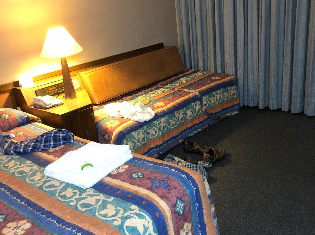 Goulburn Central Motel主图