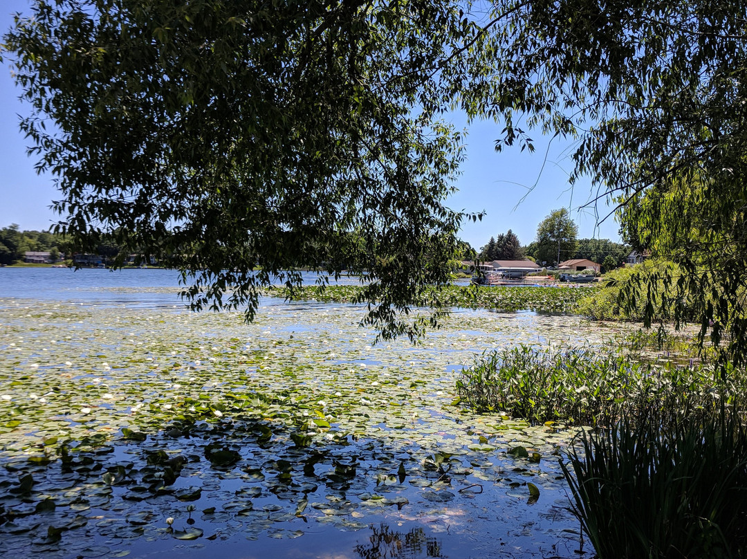 Myers Lake Park景点图片